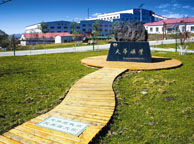 崇左天华矿业集团