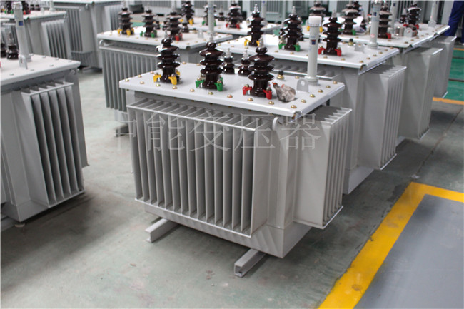 崇左S22-250KVA/10KV变压器